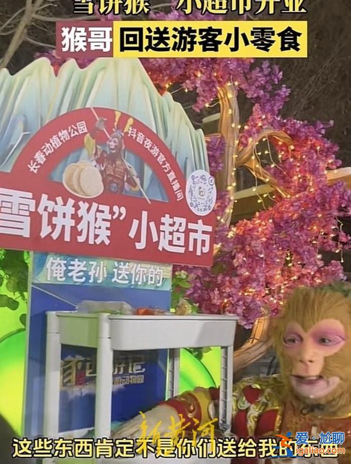 大四畢業(yè)后 演猴帶來的“潑天富貴”他接住了？