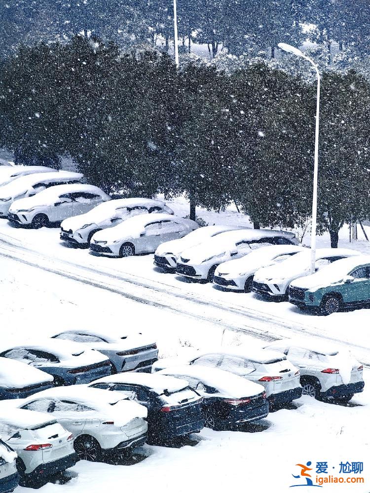 暴雪中心預(yù)報在河南 為何兩湖“受傷”更重？