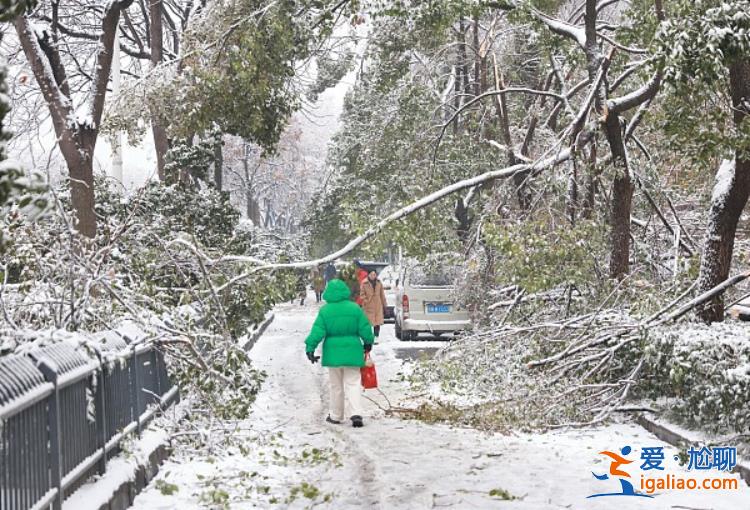 為何導(dǎo)致交通陷入癱瘓？除冰難度有多大？解讀湖北暴雪凍雨的幾大疑問？