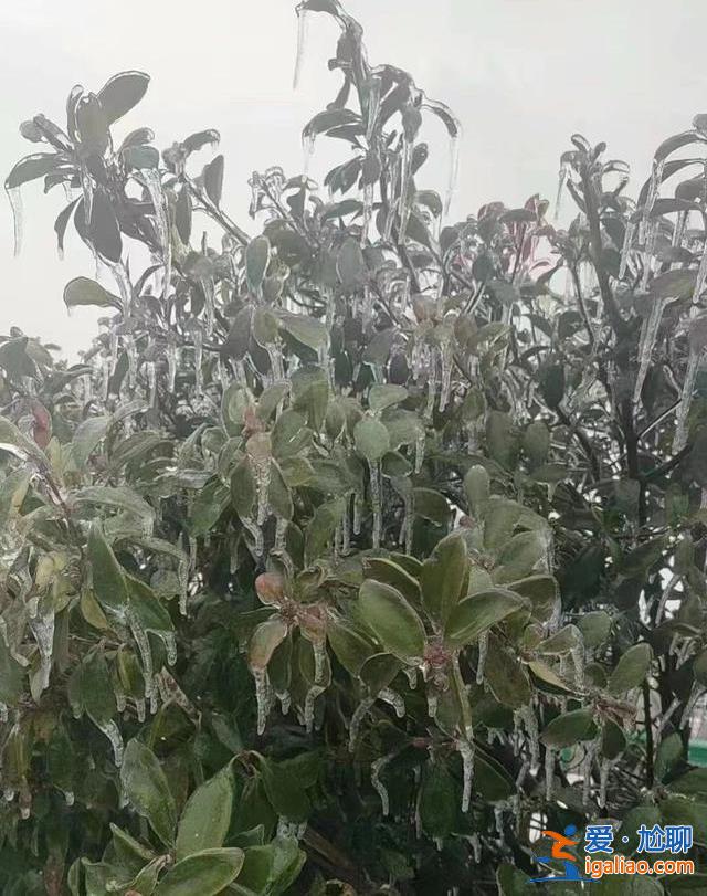 為何導(dǎo)致交通陷入癱瘓？除冰難度有多大？解讀湖北暴雪凍雨的幾大疑問？