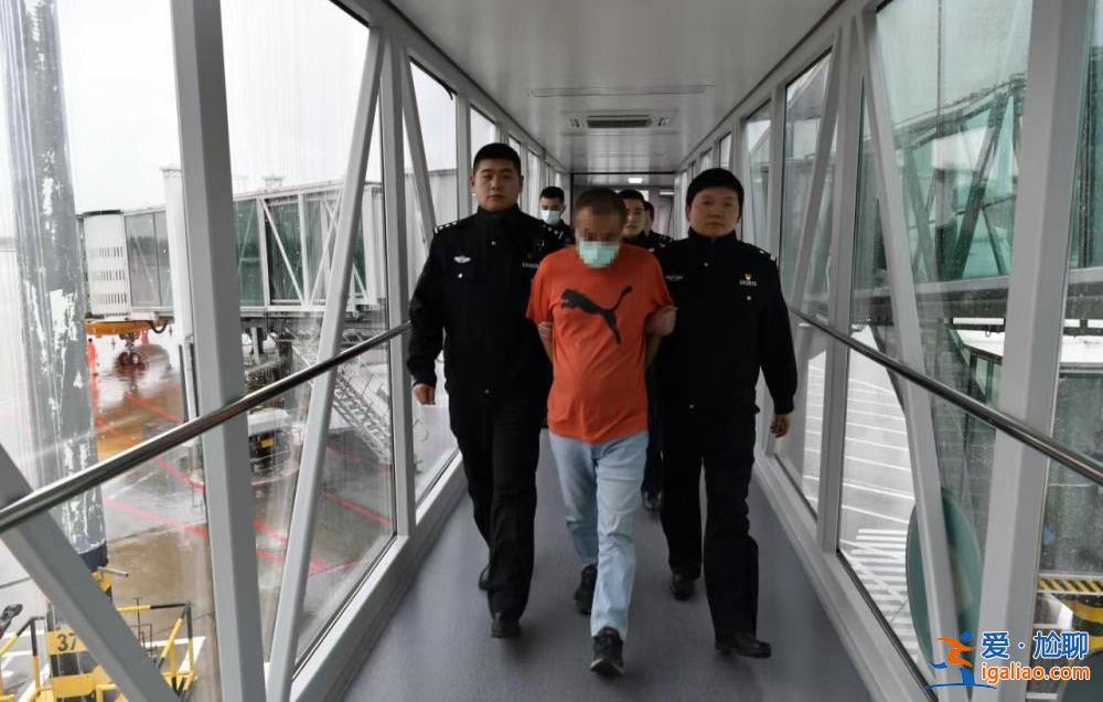 “紅通”在逃犯罪嫌疑人周某平被從新加坡遣返回國？