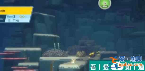 潛水員戴夫大梭魚開胃餅怎么制作  潛水員戴夫大梭魚開胃餅制作方法？