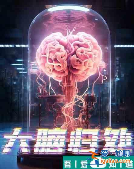 百變大偵探大腦歸處   百變大偵探大腦歸處劇本殺答案？