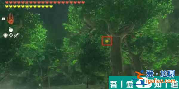塞爾達(dá)傳說(shuō)王國(guó)之淚金蘋果怎么獲得  塞爾達(dá)傳說(shuō)王國(guó)之淚金蘋果獲得方法？