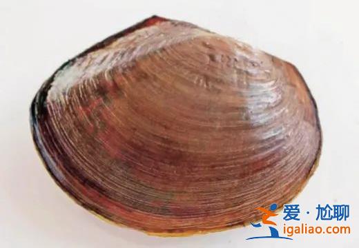 入侵物種擠占生存空間？