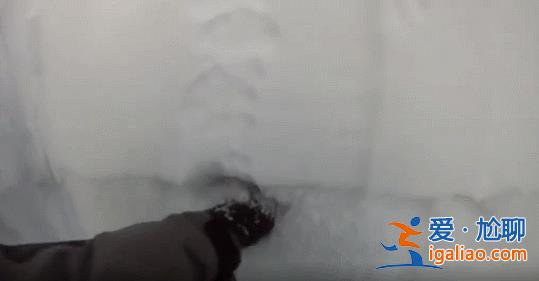 2名游客擅自在道外滑野雪造成雪崩！新疆喀納斯景區(qū)通報(bào)來了？