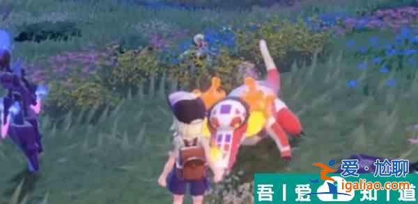 寶可夢朱紫御三家怎么玩  寶可夢朱紫御三家攻略？