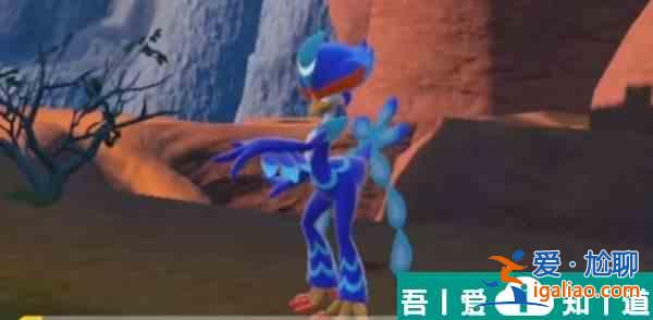 寶可夢朱紫御三家怎么玩  寶可夢朱紫御三家攻略？