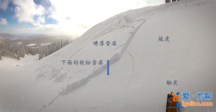 2名游客擅自在道外滑野雪造成雪崩！新疆喀納斯景區(qū)通報(bào)來了？