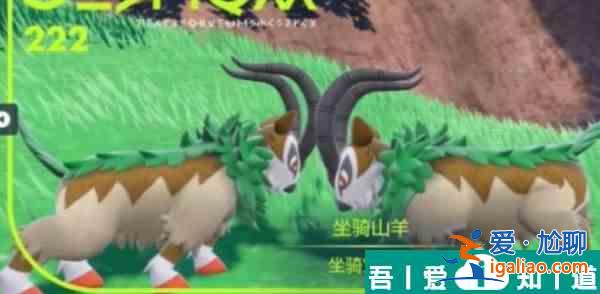 寶可夢(mèng)朱紫坐騎山羊在哪里捕捉  寶可夢(mèng)朱紫坐騎山羊捕捉位置？