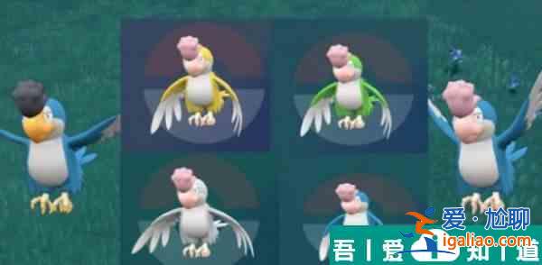 寶可夢朱紫怒鸚哥有什么顏色  寶可夢朱紫怒鸚哥顏色種類介紹？