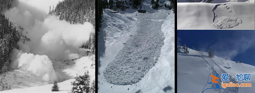 2名游客擅自在道外滑野雪造成雪崩！新疆喀納斯景區(qū)通報(bào)來了？