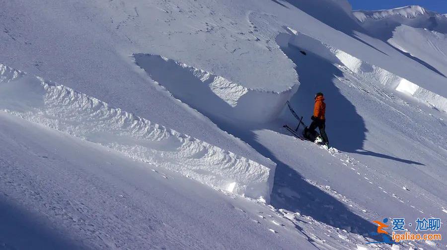 2名游客擅自在道外滑野雪造成雪崩！新疆喀納斯景區(qū)通報(bào)來了？