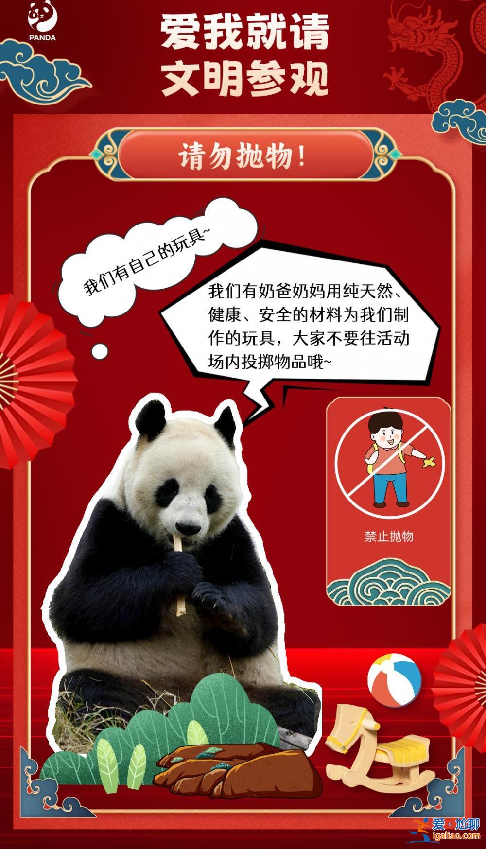 一游客在成都大熊貓基地參觀時向場內(nèi)投擲物品 被終身禁入？