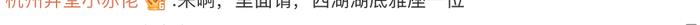 春節(jié)游客量上漲！杭州西湖2天撈起17部手機 1副眼鏡和1張身份證？