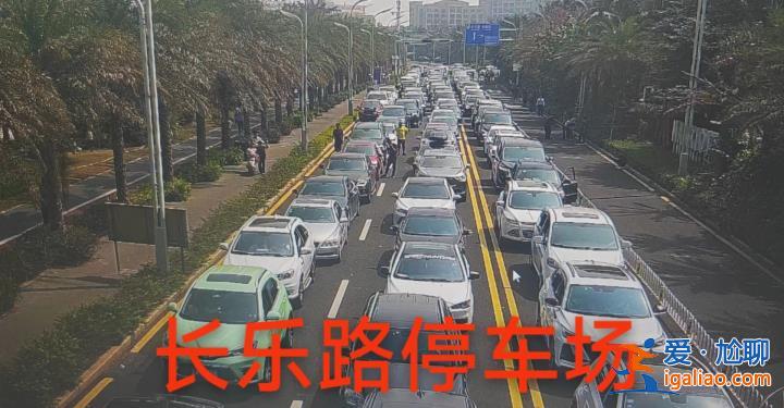 堵堵堵！女子從從河南南陽開車回杭州 4小時只走了兩三公里？