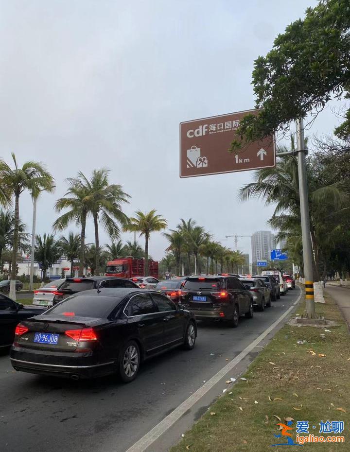 堵堵堵！女子從從河南南陽開車回杭州 4小時只走了兩三公里？