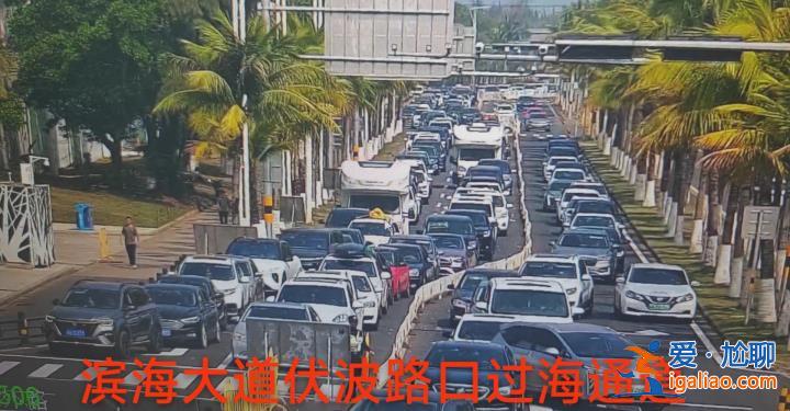 堵堵堵！女子從從河南南陽開車回杭州 4小時只走了兩三公里？