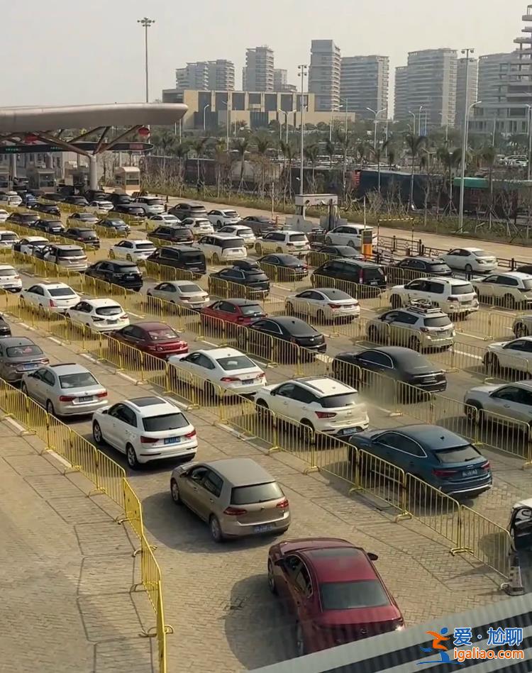 有人排14小時上船 多名新能源車主棄車保返？