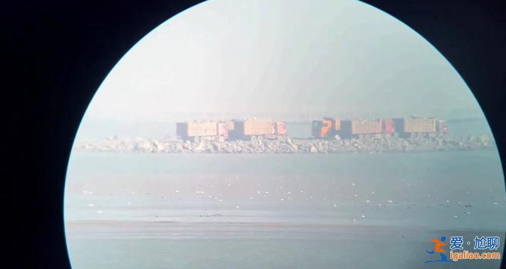 江蘇一海灣整治項目被指破壞生態(tài) 施工處為鳥類覓食地 已被法院叫停？