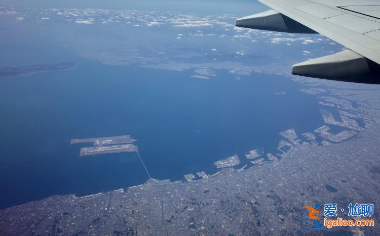 越來越多鯨魚在日本大阪灣擱淺 當?shù)貙＜曳Q氣候變化所致？