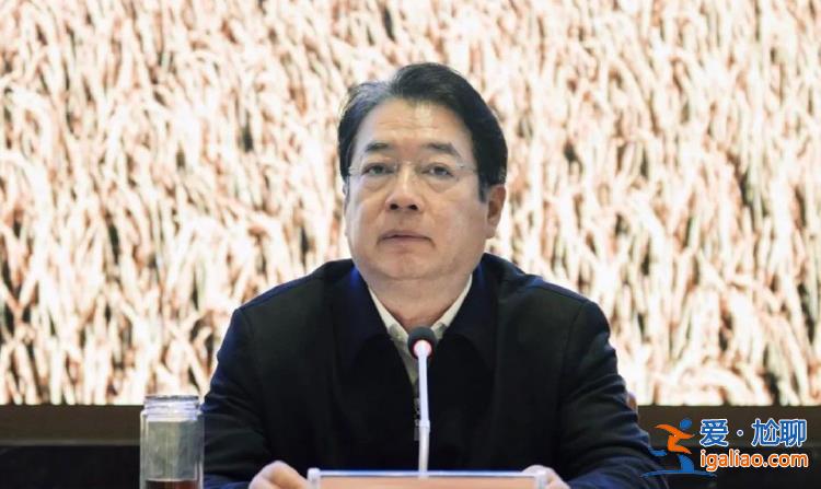 龍年首虎！卸任一年后胡強(qiáng)被拿下 曾陷入“周劼炫富”的輿論風(fēng)波？