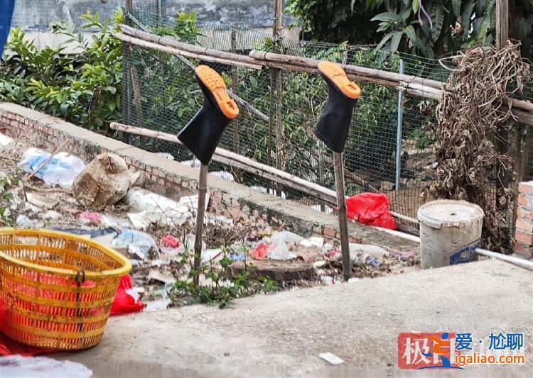 辛苦打拼供養(yǎng)年邁父母 原計劃回老家過元宵？
