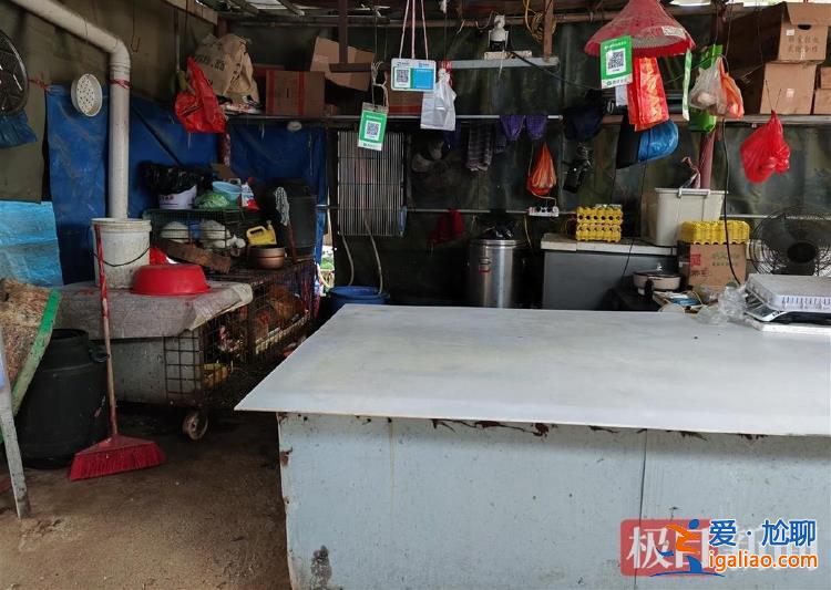 辛苦打拼供養(yǎng)年邁父母 原計劃回老家過元宵？