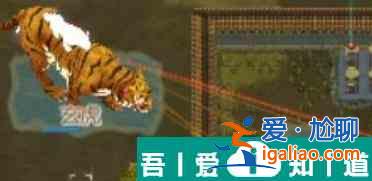 了不起的修仙模擬器鳳凰在哪 了不起的修仙模擬器鳳凰介紹？