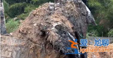 挖出3500噸！廣東網(wǎng)友曝料自家農(nóng)用地被傾倒有毒物質(zhì) 相關(guān)部門已介入？