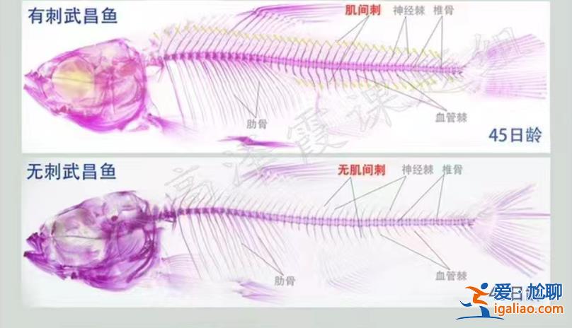 上鏈接？