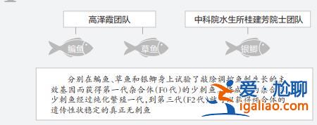 上鏈接？