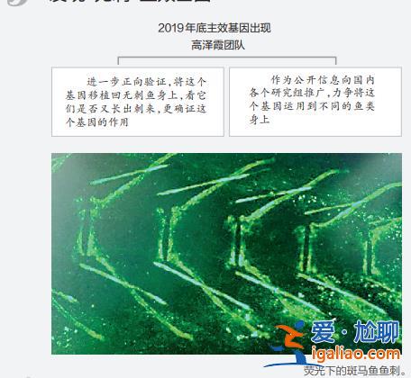 上鏈接？