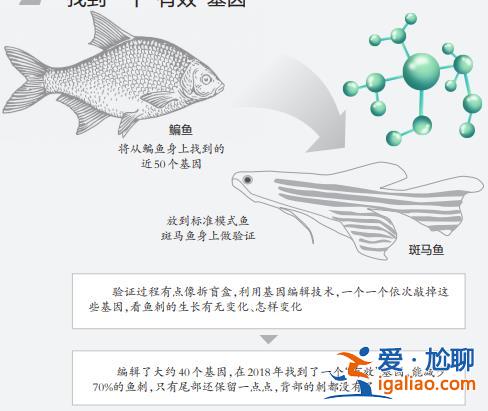 上鏈接？