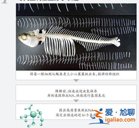 上鏈接？