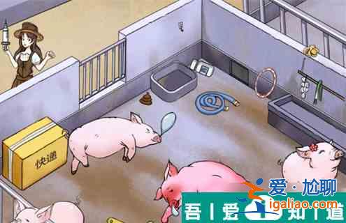 瘋狂梗傳養(yǎng)豬場   瘋狂梗傳養(yǎng)豬場過關(guān)攻略？