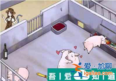 瘋狂梗傳養(yǎng)豬場   瘋狂梗傳養(yǎng)豬場過關(guān)攻略？