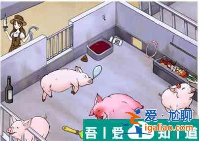 瘋狂梗傳養(yǎng)豬場   瘋狂梗傳養(yǎng)豬場過關(guān)攻略？
