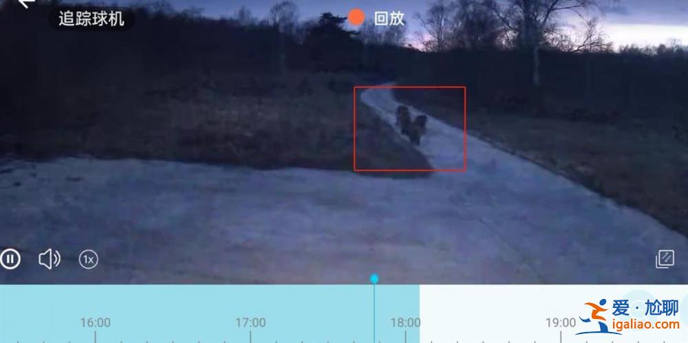 已通知村民注意？