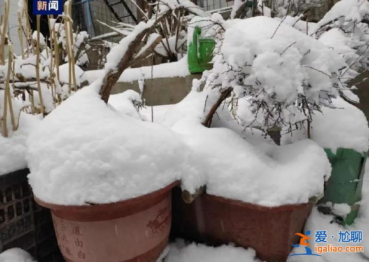 暴雪！暴雨！最高降溫10℃！新一輪陰雨天氣即將上線？