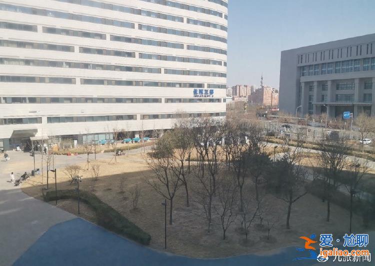 未見(jiàn)人穿短袖 室外樹(shù)木凋零？