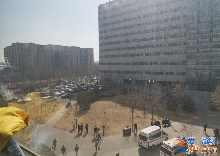 未見(jiàn)人穿短袖 室外樹(shù)木凋零？