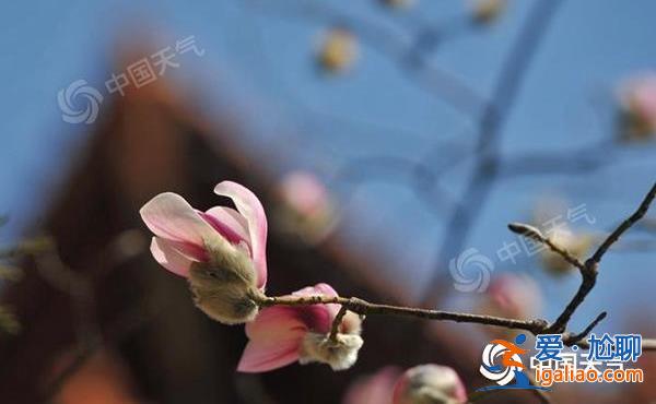 北方未來(lái)三天溫暖升級(jí) 南方雨水再度發(fā)展增多？