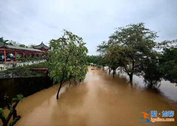 廣東北江發(fā)生今年第1號(hào)洪水 多個(gè)水文站超警戒水位？