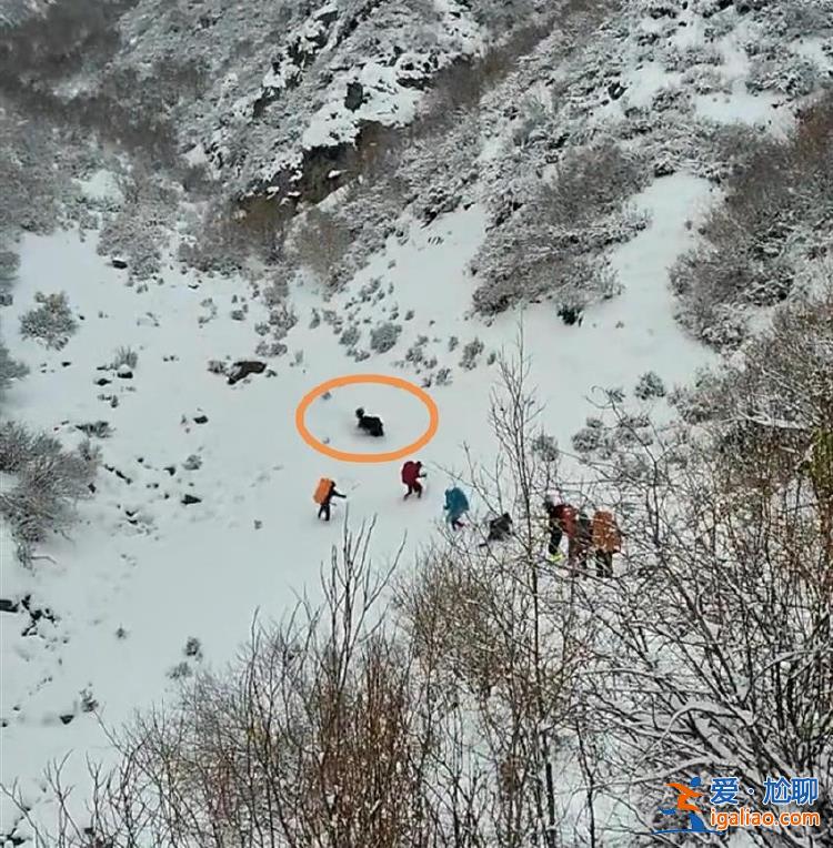 博主稱登山隊在雪地遭野牦牛攻擊 定位顯示為自然保護區(qū) 官方回應(yīng)？