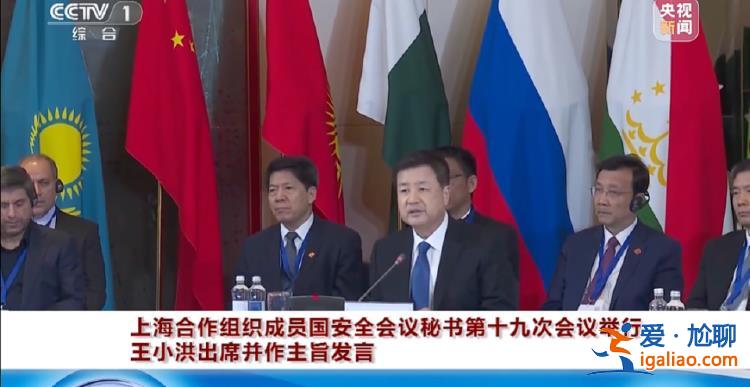 公安部部長(zhǎng)王小洪出國(guó) 有幾個(gè)重要細(xì)節(jié)？
