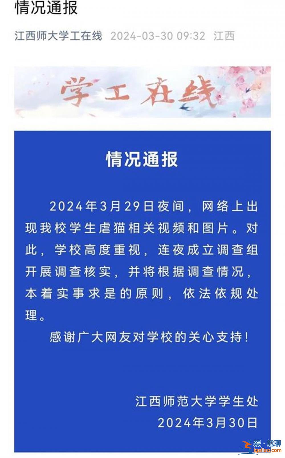 江西師大回應(yīng)還在處理“學(xué)生虐貓” 多起事件背后虐貓產(chǎn)業(yè)鏈需鏟除？