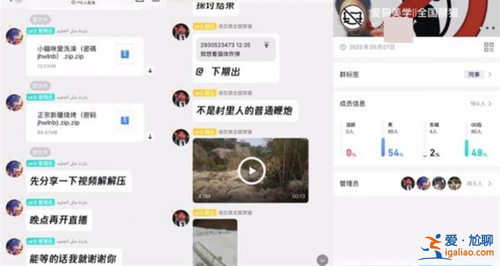 江西師大回應(yīng)還在處理“學(xué)生虐貓” 多起事件背后虐貓產(chǎn)業(yè)鏈需鏟除？