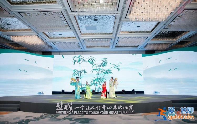 共繪發(fā)展藍圖！“NICE鹽城”文化旅游嘉年華活動舉行？