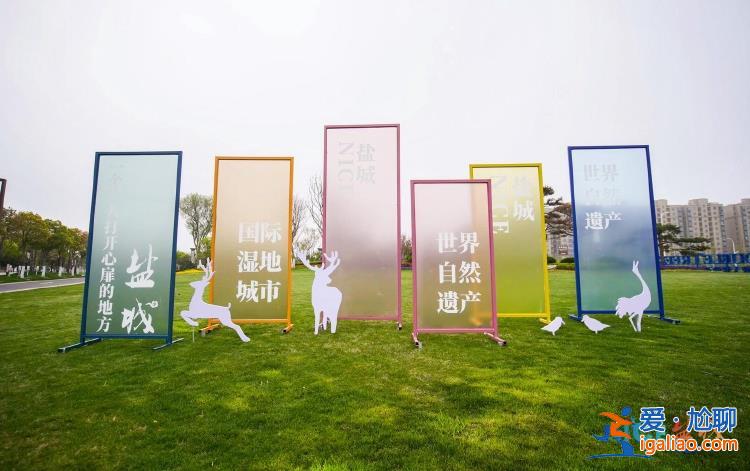 共繪發(fā)展藍圖！“NICE鹽城”文化旅游嘉年華活動舉行？